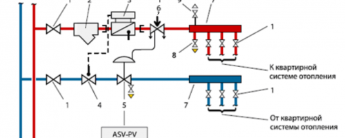 DIA avec un peigne dans l'appartement