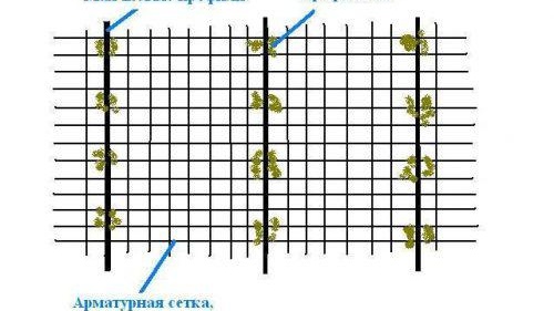 Technologie de chape de ciment