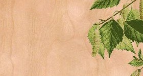 Nivellement de sol avec contreplaqué