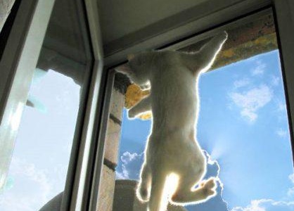 maille de fenêtre en PVC