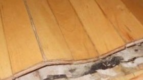 Nivellement du sol pour le stratifié