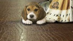 Stratifié pour chauffage au sol