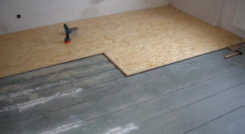 feuilles d'osby sur le sol