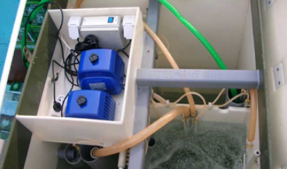 entretien fosse septique