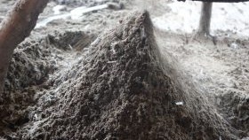 Fibre dans une chape semi-sèche