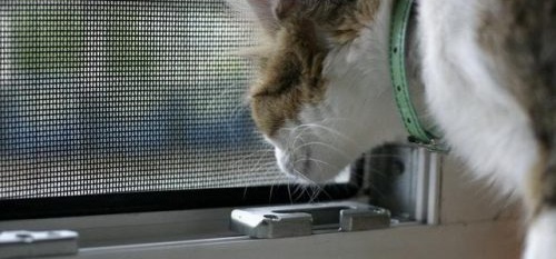 Comment accrocher une moustiquaire à une porte