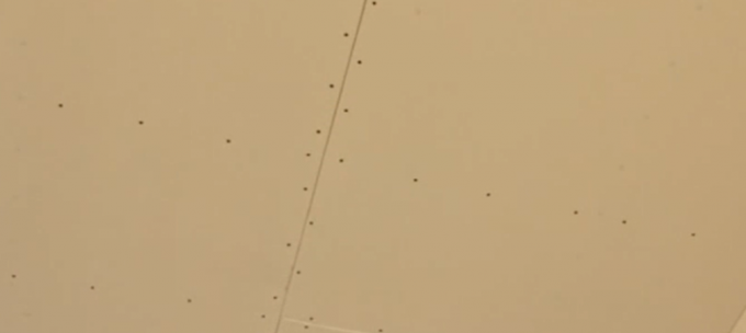 Le cadre des profilés métalliques est gainé de cloisons sèches