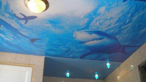 Natyagnoe Polotno contre Vanoy