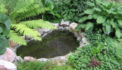 photo d'étang décoratif à faire soi-même