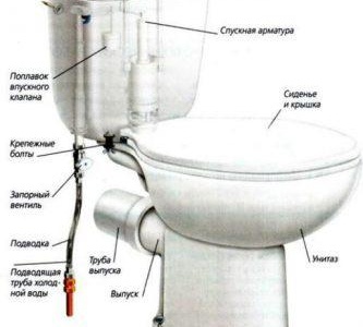 Schéma des toilettes