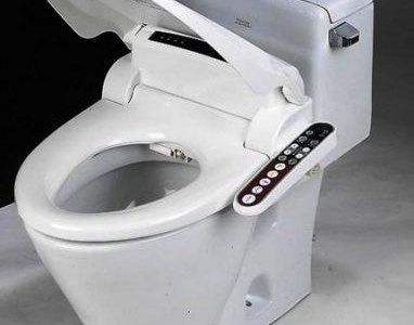 11gigienicheskij-dush-dlya-unitaza