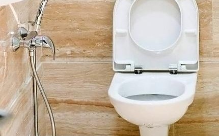 13gigienicheskij-dush-dlya-unitaza