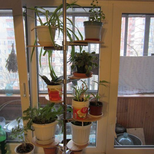 Jardinière sur le rebord de la fenêtre