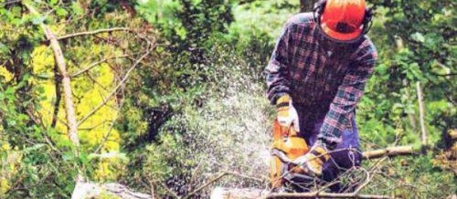 Règles de la scie électrique