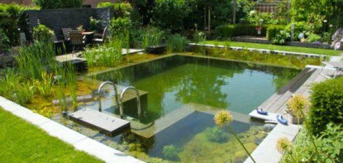 Piscine à la maison par vous-même