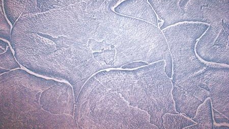 Photo en plâtre décoratif