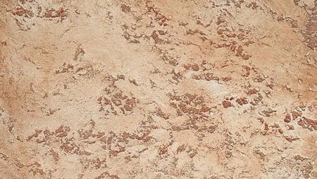 Enduit décoratif sous un arbre