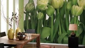 Papier peint photo tulipes photo