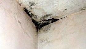 Comment se débarrasser des champignons au plafond