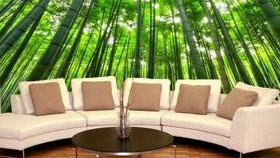 Comment coller correctement des peintures murales photo, coller des murs avec des peintures murales, coller des peintures murales sur les murs