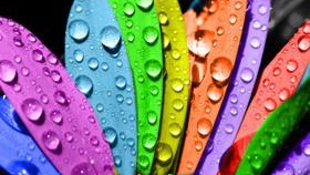 Quelle peinture choisir pour le plafond