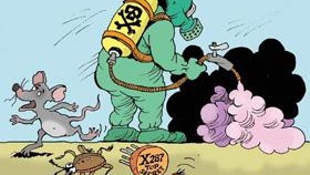 Le meilleur remède efficace contre les cafards noirs domestiques dans l'appartement