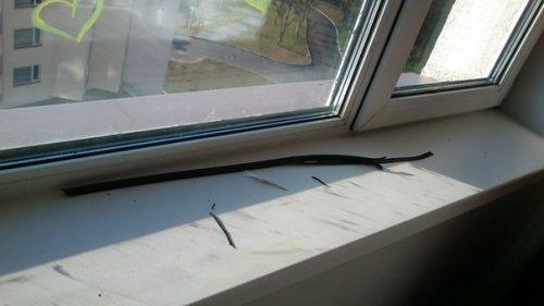 Nettoyer le rebord de fenêtre en plastique