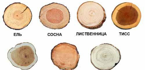 Appuis de fenêtre en bois