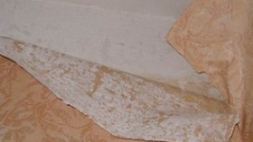 papier peint déchiré