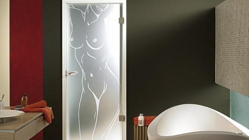 raznovidnosti-steklyannyx-dverej3