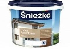 peinture neige au latex