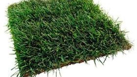 photo de terrain. parcelle de terre