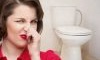 Pourquoi les toilettes sentent mauvais et comment résoudre le problème