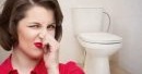 Pourquoi les toilettes sentent mauvais et comment résoudre le problème